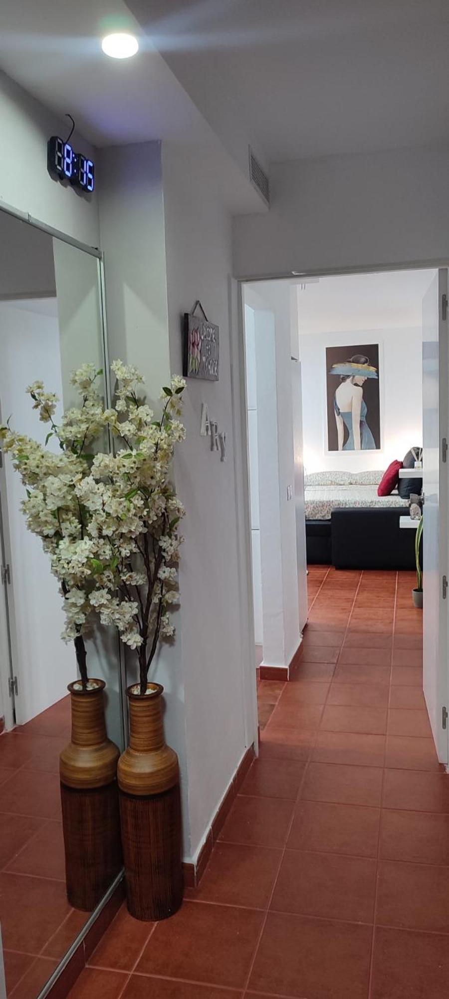 Apto Ary Apartment La Jaca
